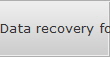 Data recovery for Lisbon data